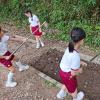 IMG-20230417-WA0047