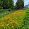 IMG-20230417-WA0053