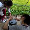 IMG-20230417-WA0066