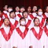 MDL_4919
