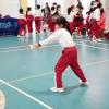 DSC00511