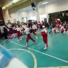 DSC01517