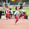 DSC00067 - Copy