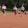 DSC02373 - Copy