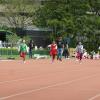 DSC02447