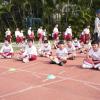 DSC03713 - Copy