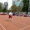 DSC02516