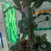 PXL_20240629_021858686