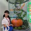 PXL_20240629_021938160.MP