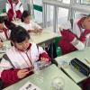 IMG-20250115-WA0007