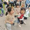 IMG_20241122_151354