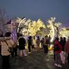 IMG_1058~photo