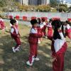 IMG_20241212_110649