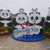 IMG_20250208_155122