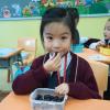 WhatsApp Image 2025-04-11 at 13.47.47