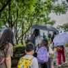 20250628-DSC04851