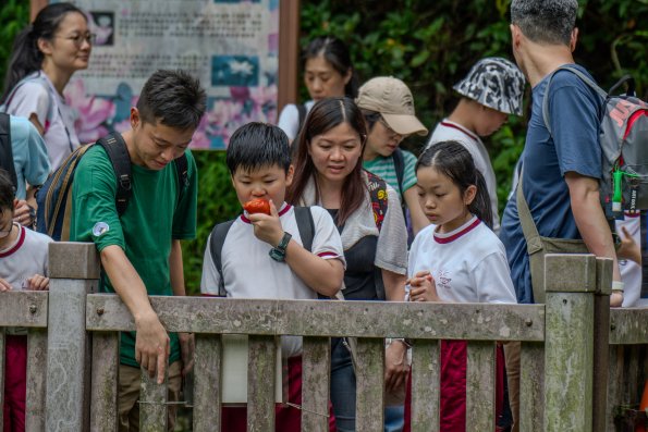 20250628-DSC05318-已增强-SR