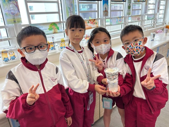 8695dbe1-90df-4c56-acec-edda29156772