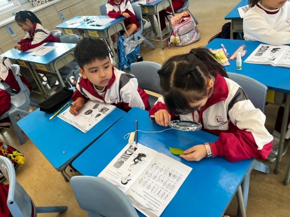 WhatsApp 圖片2025-10-2816.55.21_3fdf9075