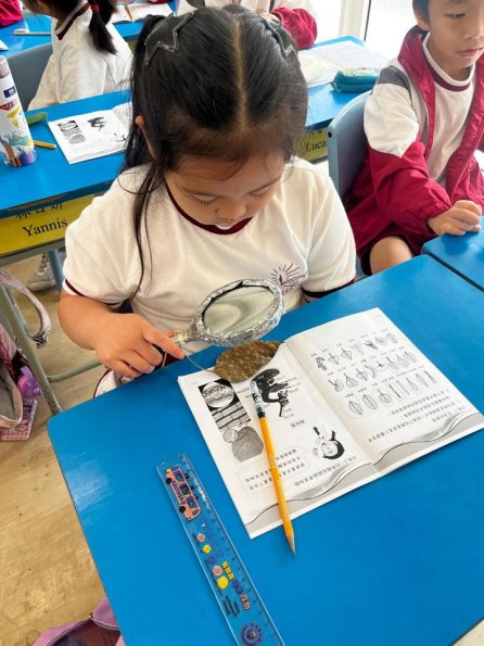 WhatsApp 圖片2025-10-2816.55.21_9afb6a5f