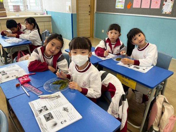 WhatsApp 圖片2025-10-2816.57.32_78a444ee