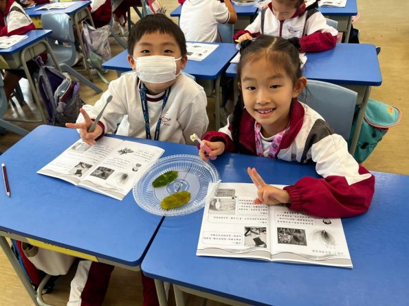 WhatsApp 圖片2025-10-2816.57.32_d2899b13