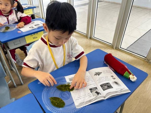 WhatsApp 圖片2025-10-2816.57.32_f0626fba