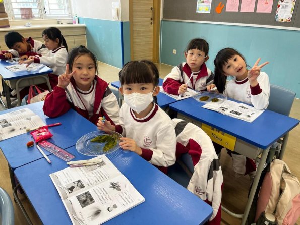 WhatsApp 圖片2025-10-2816.57.33_2e8d0152