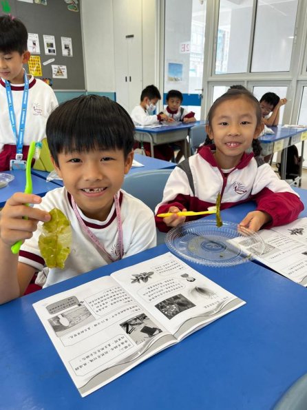 WhatsApp 圖片2025-10-2816.57.33_b8f148ad