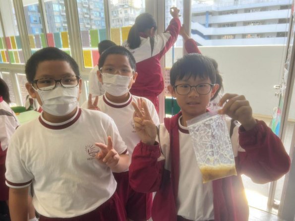 WhatsApp Image 2025-10-27 at 5.19.08 PM (2)