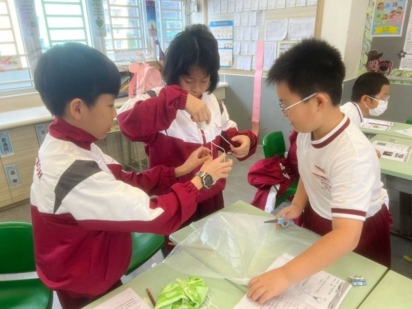 WhatsApp Image 2025-10-27 at 5.19.11 PM (2)