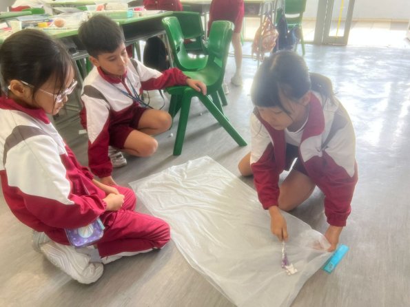 WhatsApp Image 2025-10-27 at 5.26.02 PM (3)