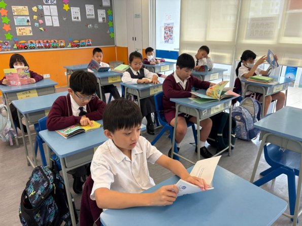 WhatsApp Image 2025-11-14 at 14.43.03