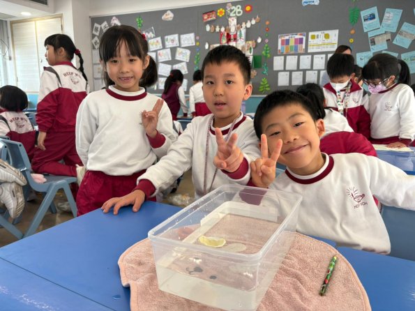 WhatsApp Image 2025-12-11 at 3.38.22 PM (13)