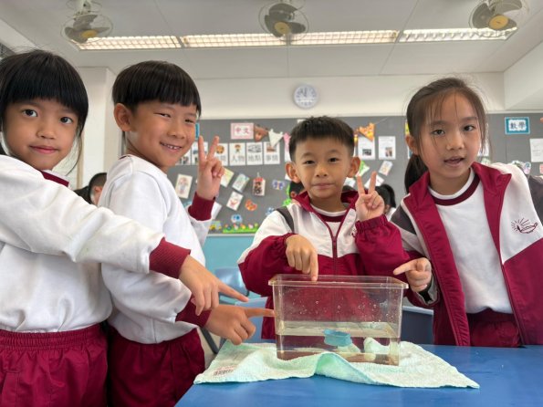 WhatsApp Image 2025-12-11 at 3.38.22 PM (14)