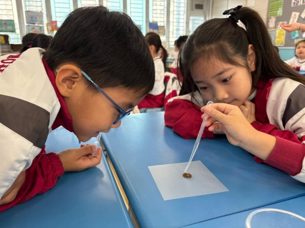 WhatsApp Image 2025-12-11 at 3.38.23 PM (10)