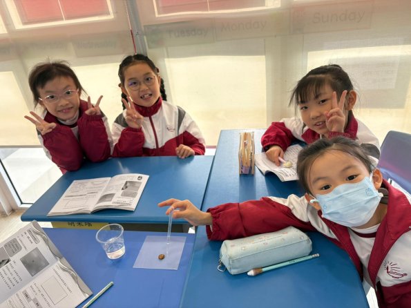 WhatsApp Image 2025-12-11 at 3.38.23 PM (11)