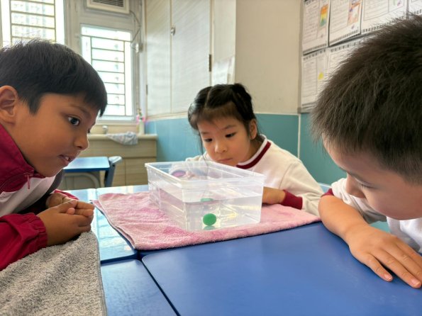 WhatsApp Image 2025-12-11 at 3.38.23 PM (15)