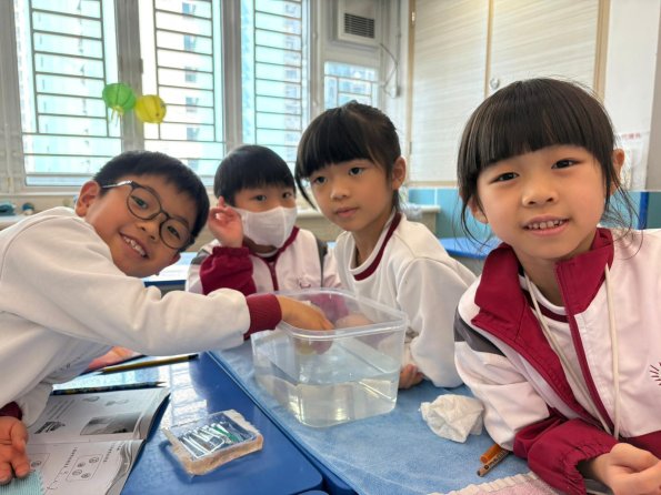 WhatsApp Image 2025-12-11 at 3.38.23 PM (16)