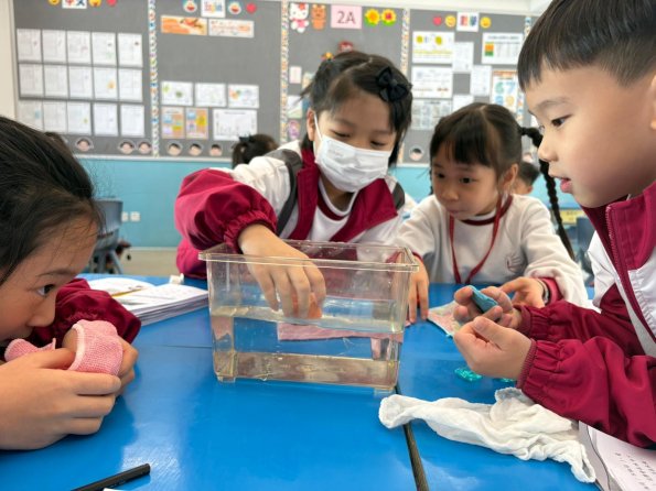 WhatsApp Image 2025-12-11 at 3.38.23 PM (17)