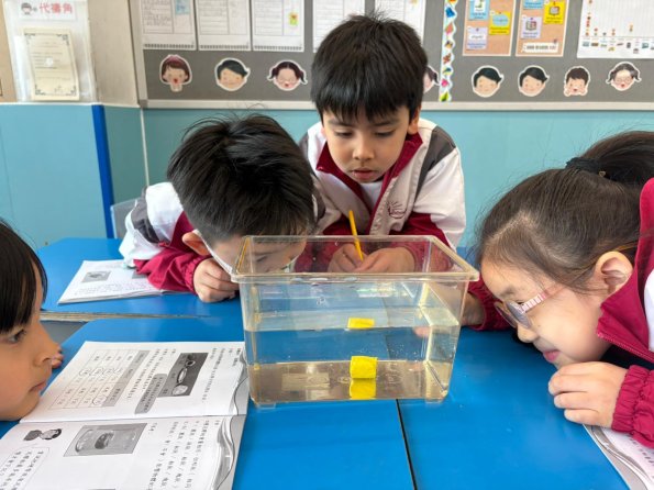 WhatsApp Image 2025-12-11 at 3.38.23 PM (22)