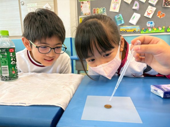 WhatsApp Image 2025-12-11 at 3.38.23 PM (8)