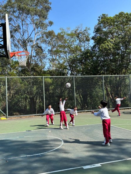 3b552936-005c-4c90-834a-d76192ea695f