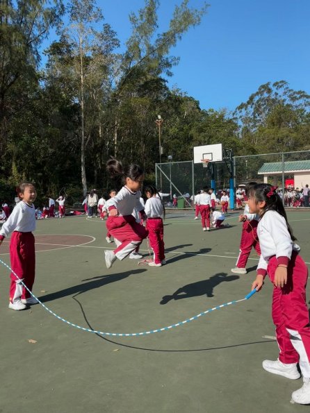 6fa498d2-df77-4c66-805e-1cbec8f31d99