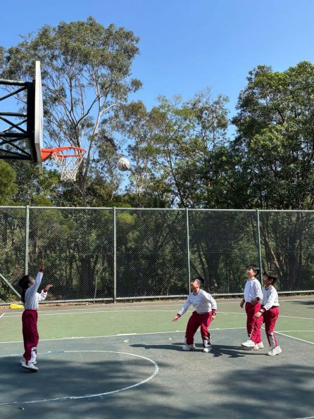 7bf85694-3b8f-47ca-a49e-5bdd82194c34