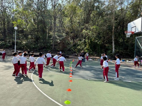 b4a9f544-4e0c-4671-8d20-35fe6a8b9e86