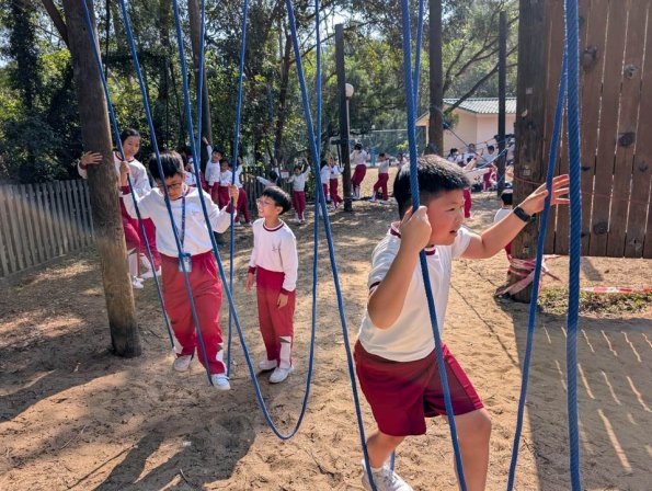 WhatsApp Image 2025-12-17 at 7.34.36 PM