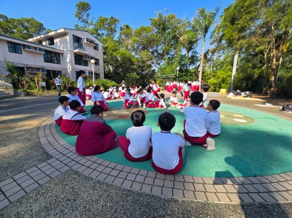 c31176f2-63dc-493c-95ad-317eaeef936a