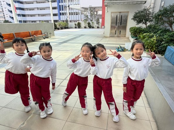 WhatsApp Image 2026-02-13 at 12.13.37 PM (1)