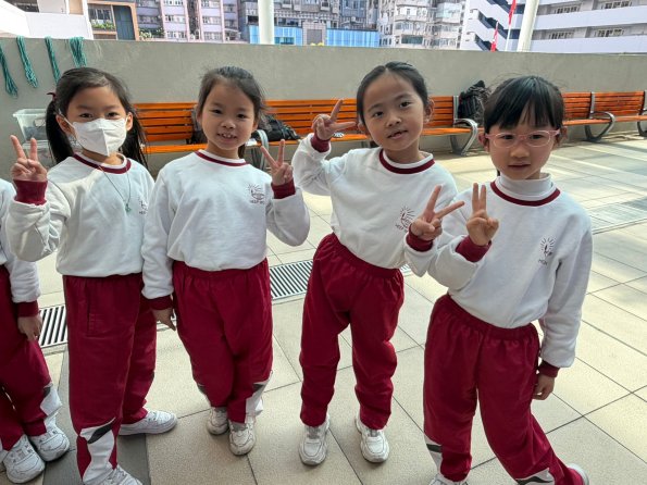 WhatsApp Image 2026-02-13 at 12.13.37 PM